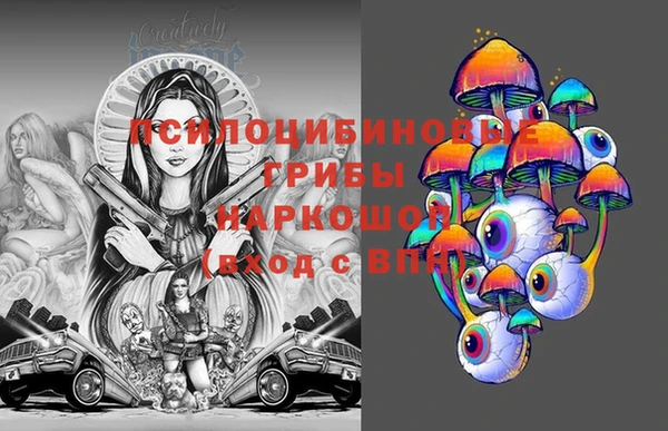 ECSTASY Майский