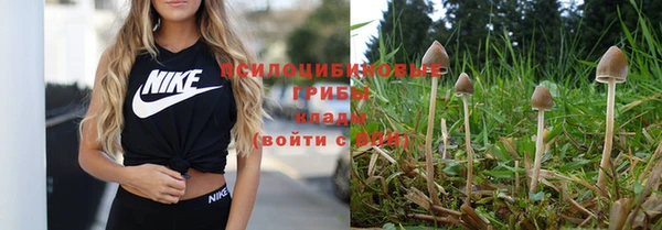 гидропоника Магас
