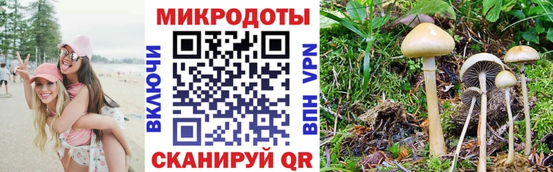 даркнет сайт  Шебекино  Галлюциногенные грибы ЛСД 