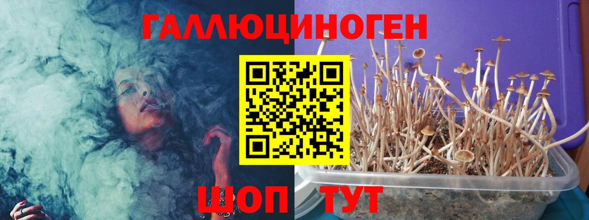 Псилоцибиновые грибы мицелий Шебекино